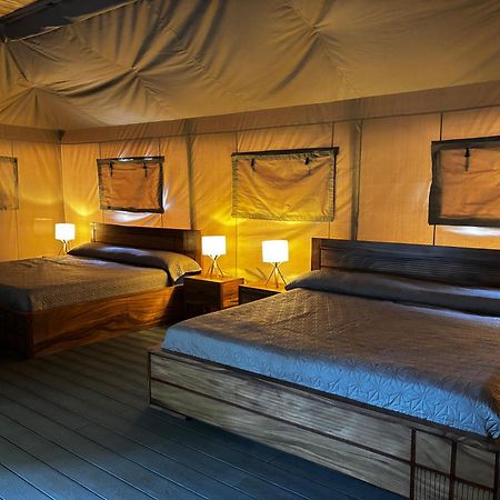 Arenal Backpackers Resort La Fortuna Ngoại thất bức ảnh