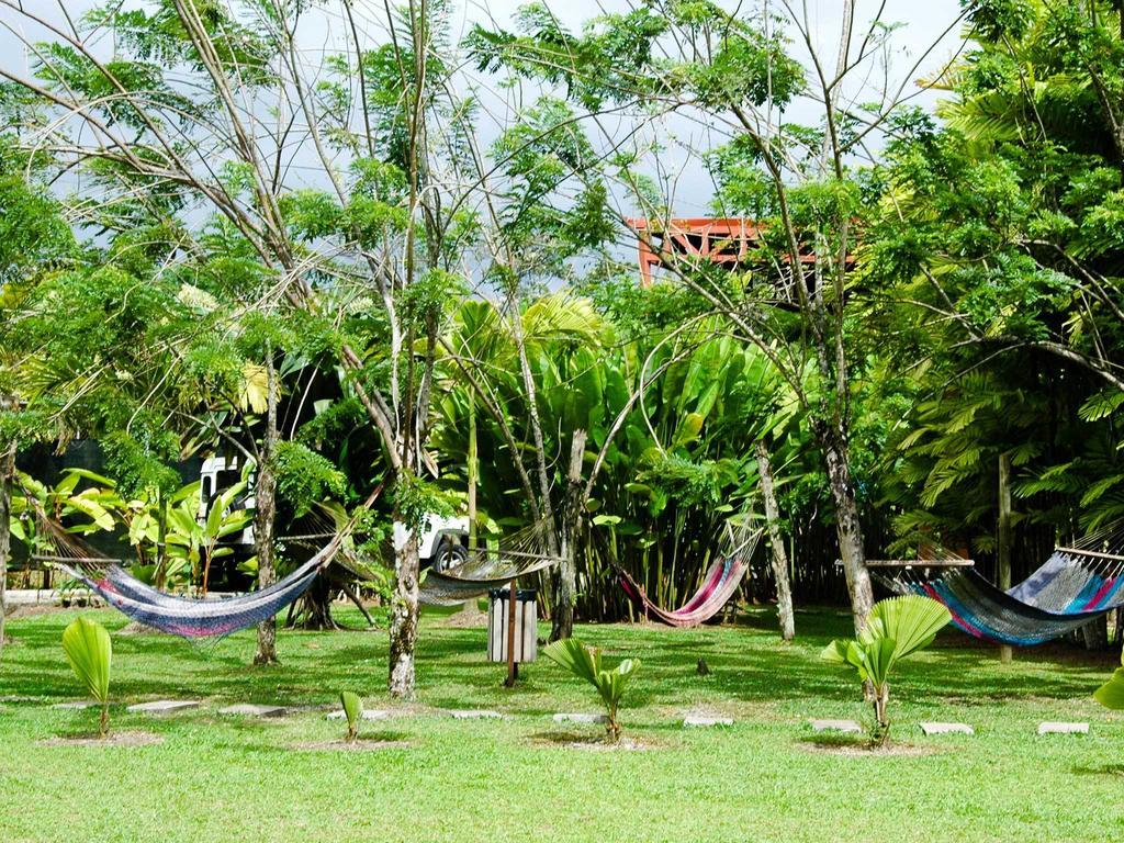 Arenal Backpackers Resort La Fortuna Ngoại thất bức ảnh Hammocks in the garden of a hostel in Central America