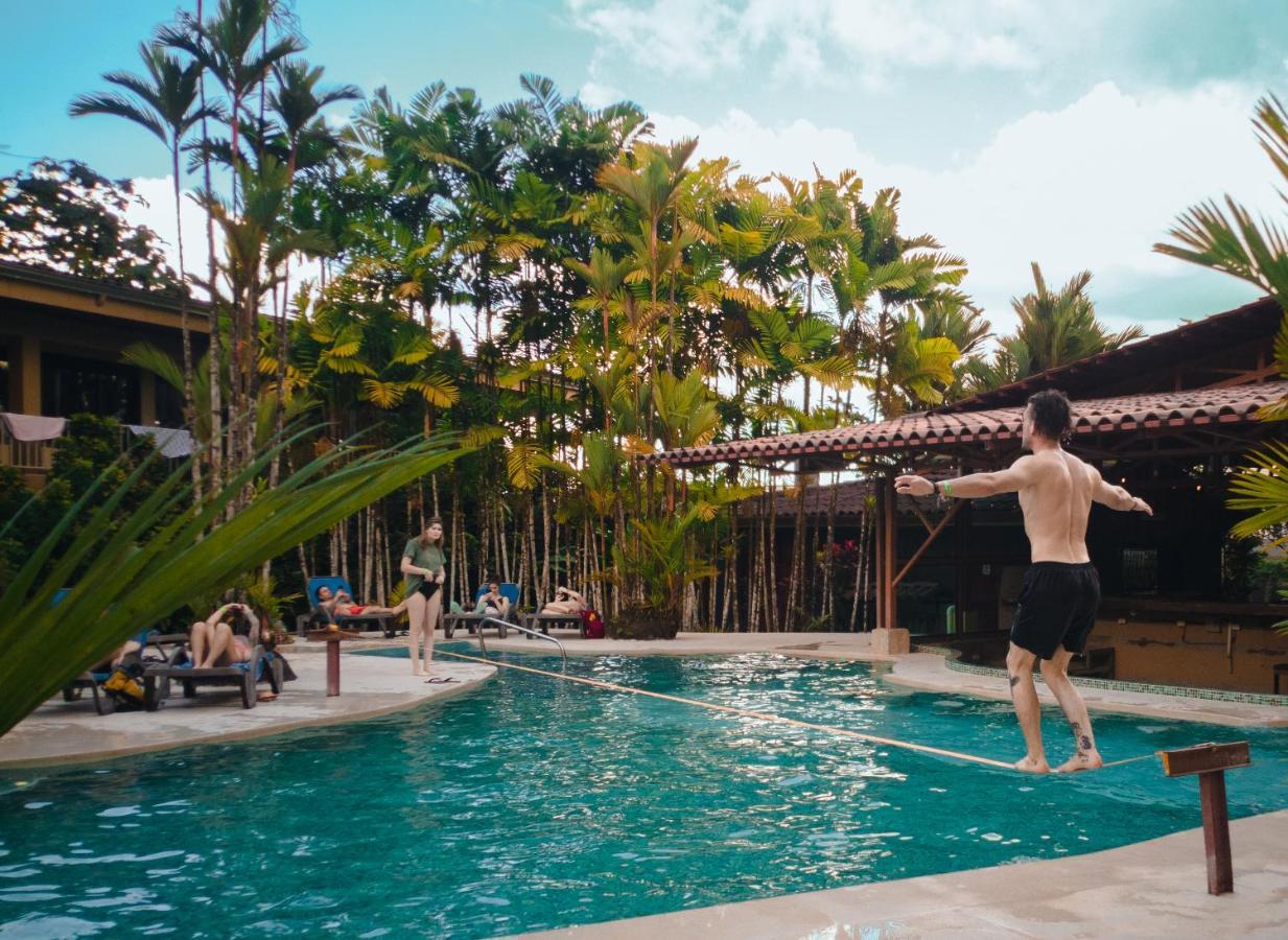 Arenal Backpackers Resort La Fortuna Ngoại thất bức ảnh A swimming pool in the resort