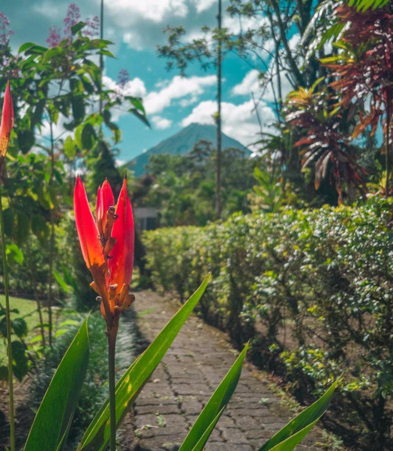 Arenal Backpackers Resort La Fortuna Ngoại thất bức ảnh A view of Mount Apo