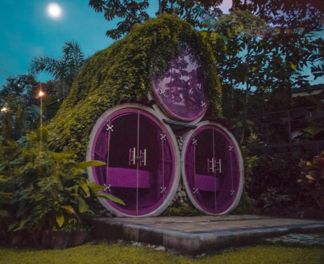 Arenal Backpackers Resort La Fortuna Ngoại thất bức ảnh The Hobbit Hole
