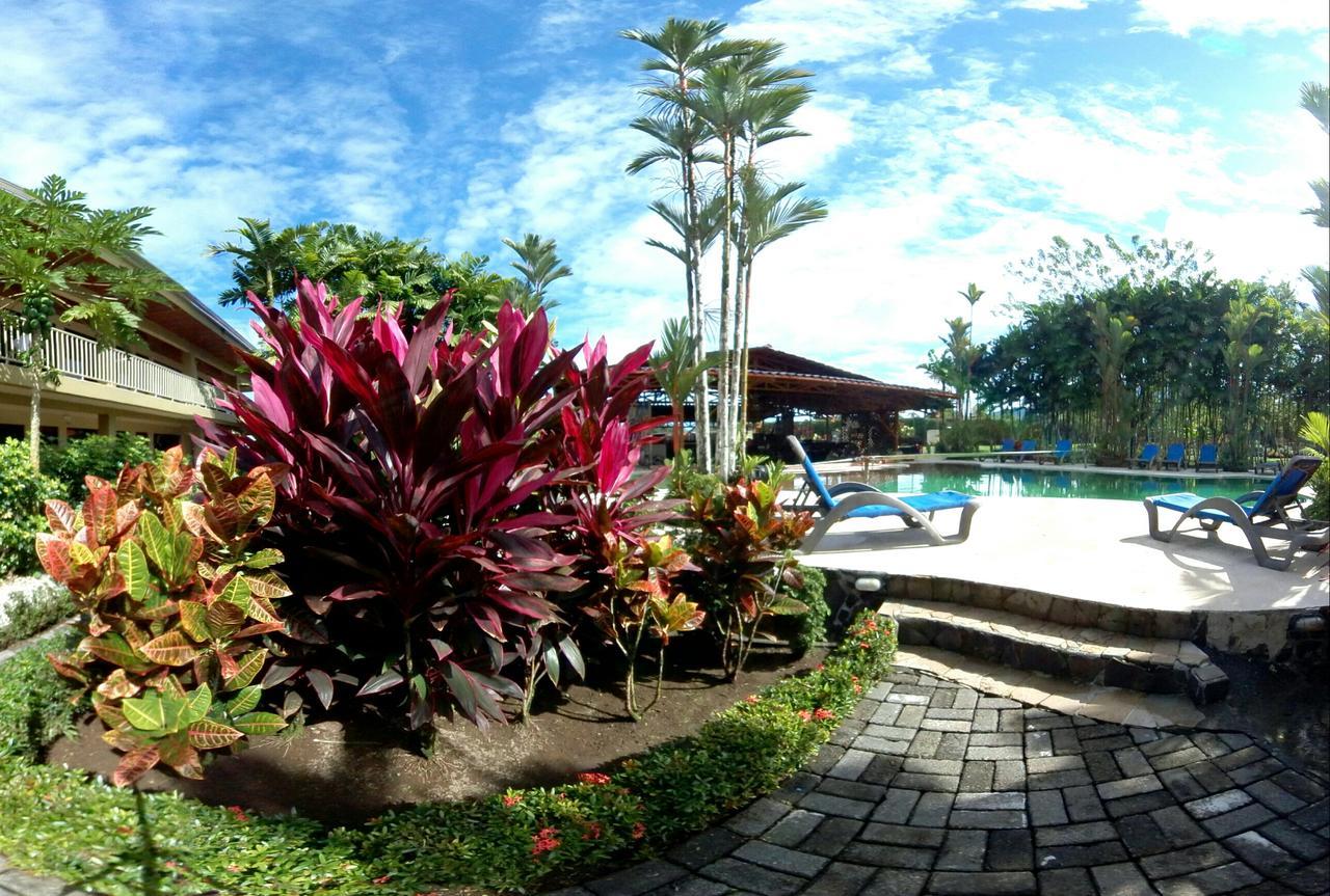 Arenal Backpackers Resort La Fortuna Ngoại thất bức ảnh The pool at the resort