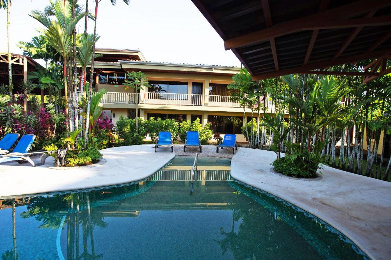 Arenal Backpackers Resort La Fortuna Ngoại thất bức ảnh The swimming pool at the hotel