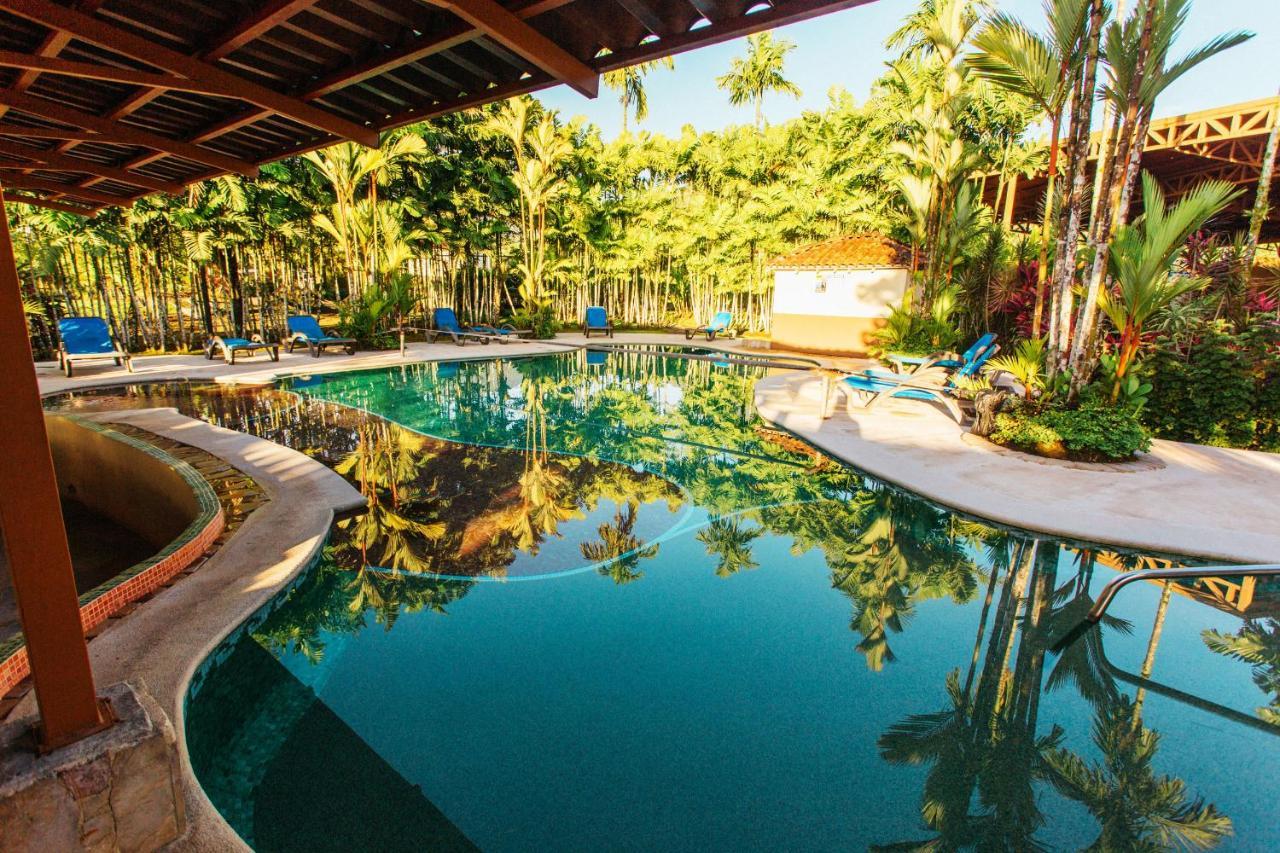 Arenal Backpackers Resort La Fortuna Ngoại thất bức ảnh The swimming pool at the resort